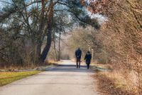 Spaziergang Natur